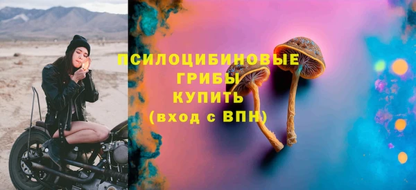 PSILOCYBIN Абдулино